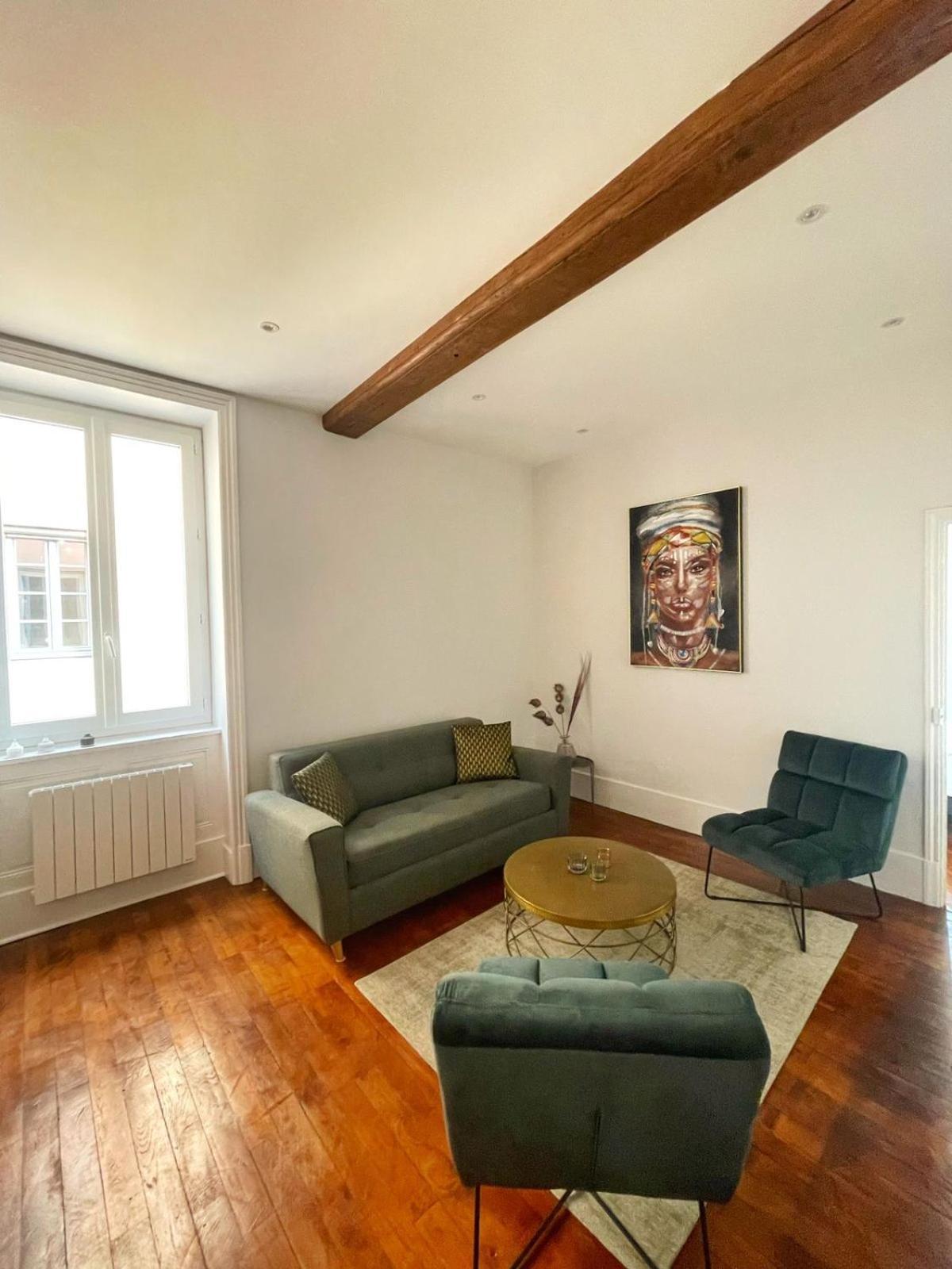 Center Macon Charmant Appartement Avec Vue Sur La Saone Экстерьер фото