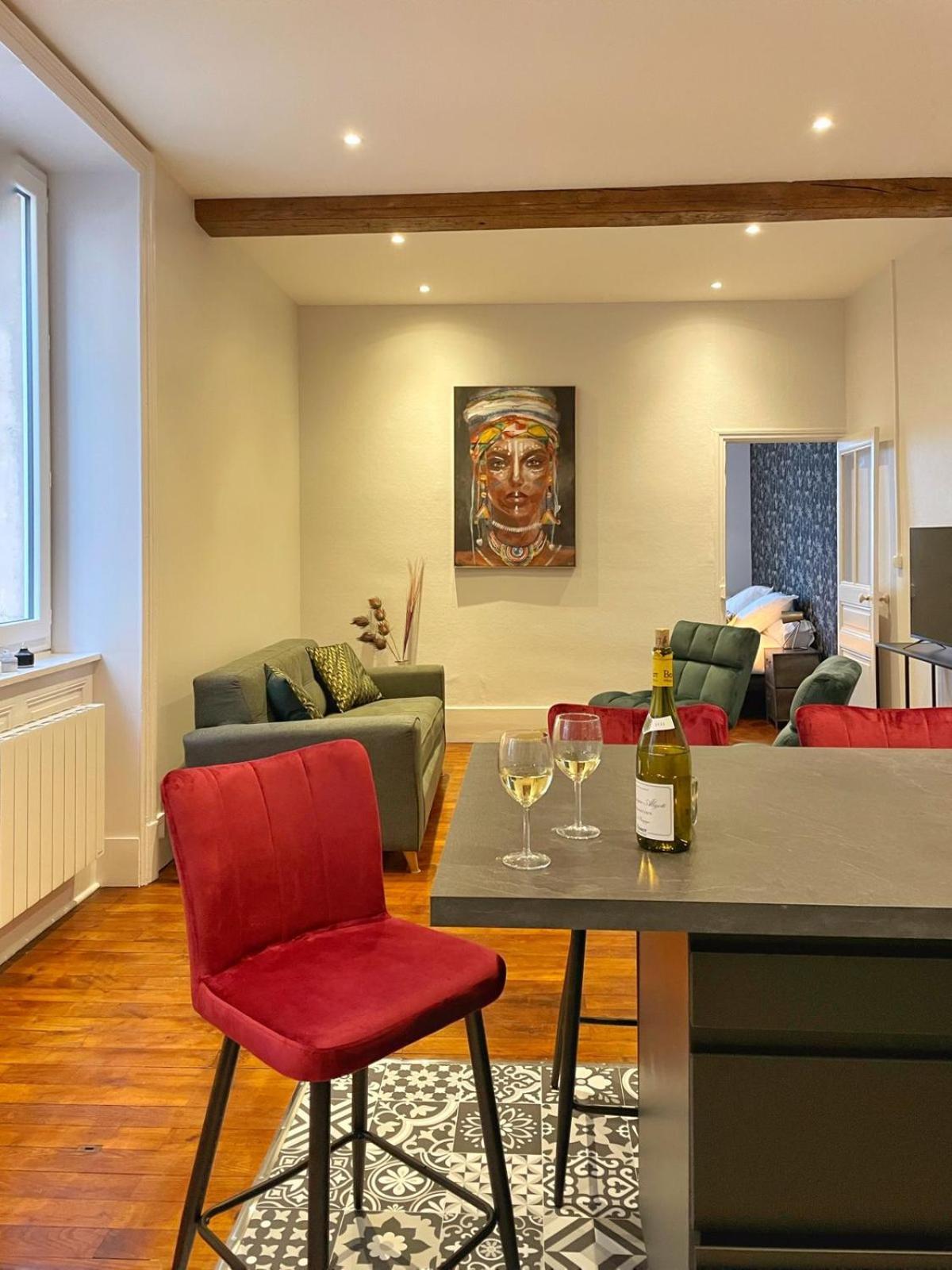 Center Macon Charmant Appartement Avec Vue Sur La Saone Экстерьер фото